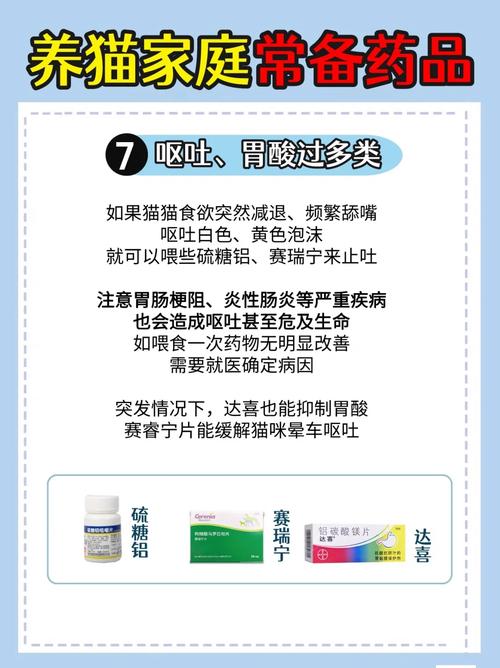 貓咪嘔吐腹瀉？用藥前請先了解原因