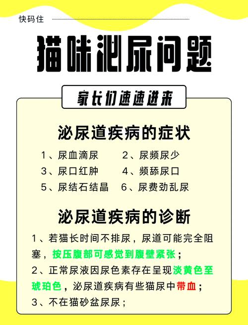 貓咪尿道炎，癥狀識別與有效護(hù)理指南