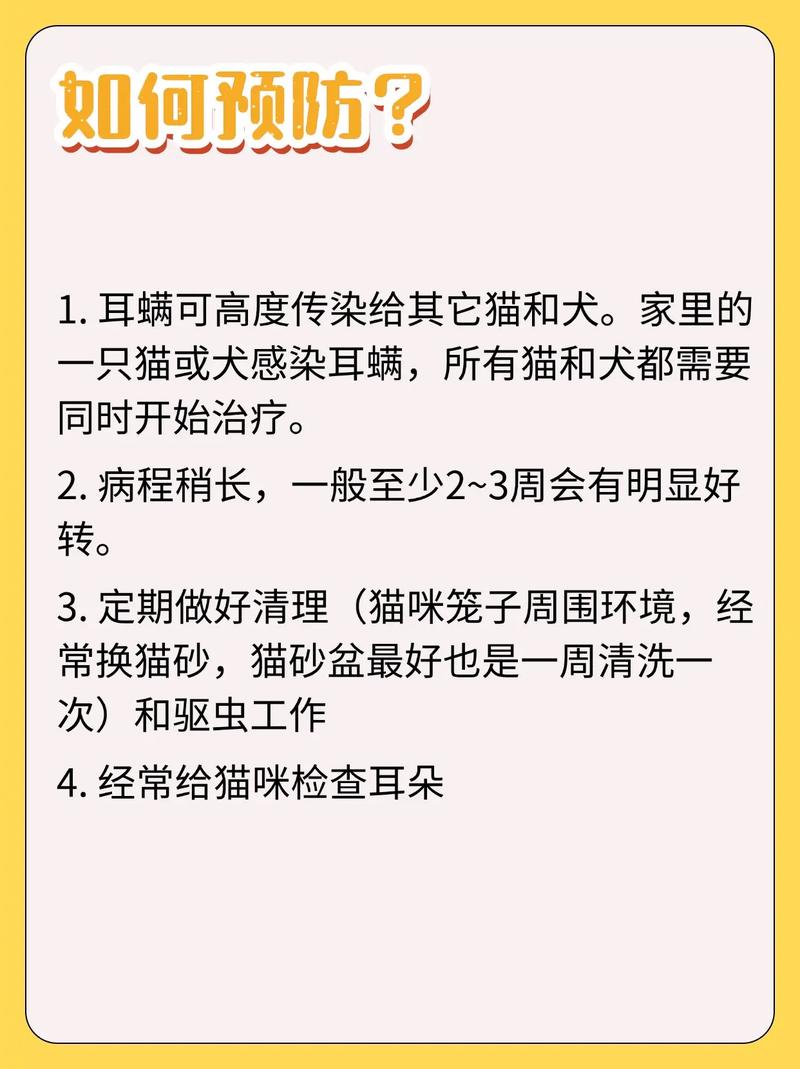 貓咪得耳螨了？這里有一套解決辦法