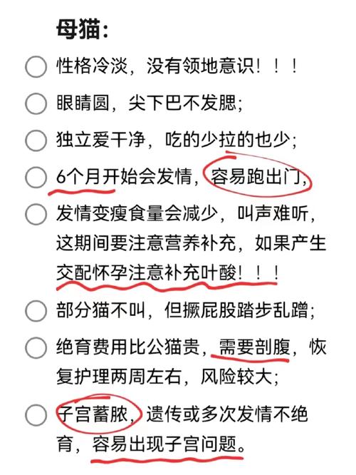 貓咪絕育，了解利弊，做出明智決定