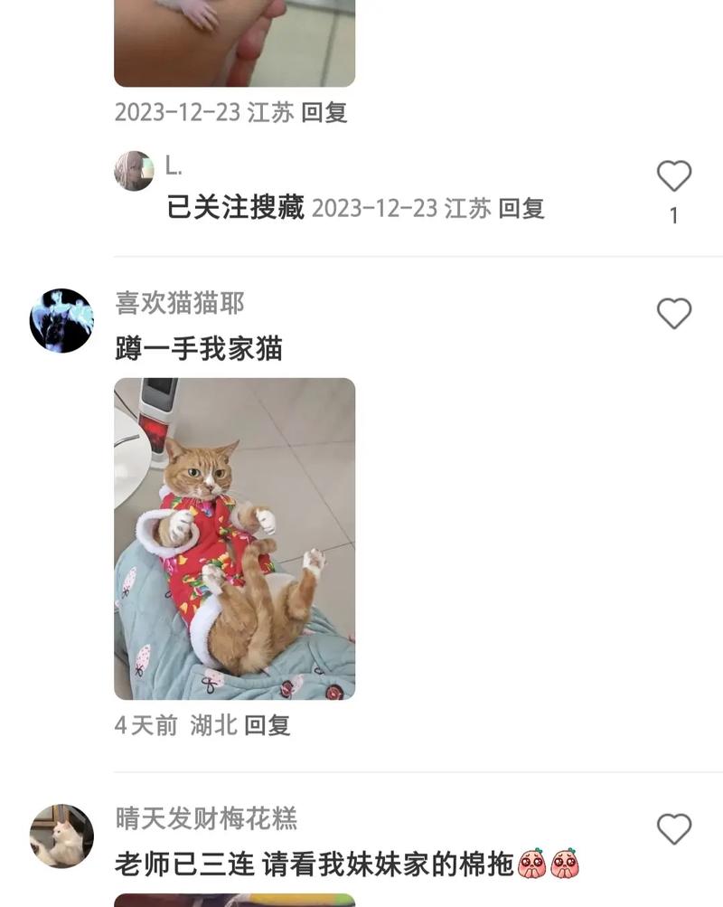 貓咪眼鏡下的紅色秘密