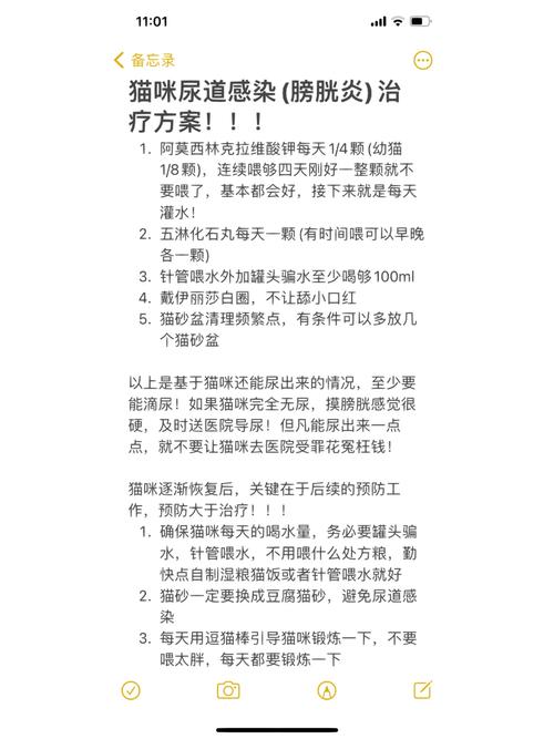 貓咪的小秘密，尿道發(fā)炎，你該知道的事