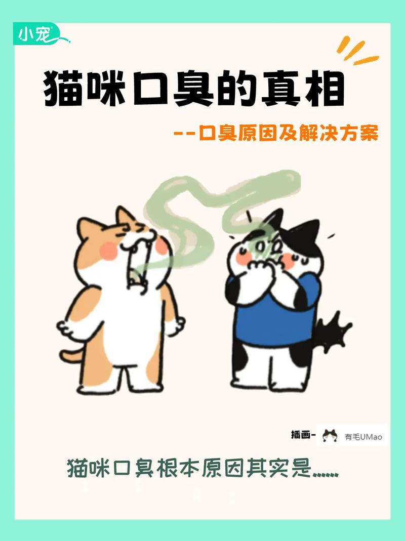 貓咪睡醒后的口臭謎題