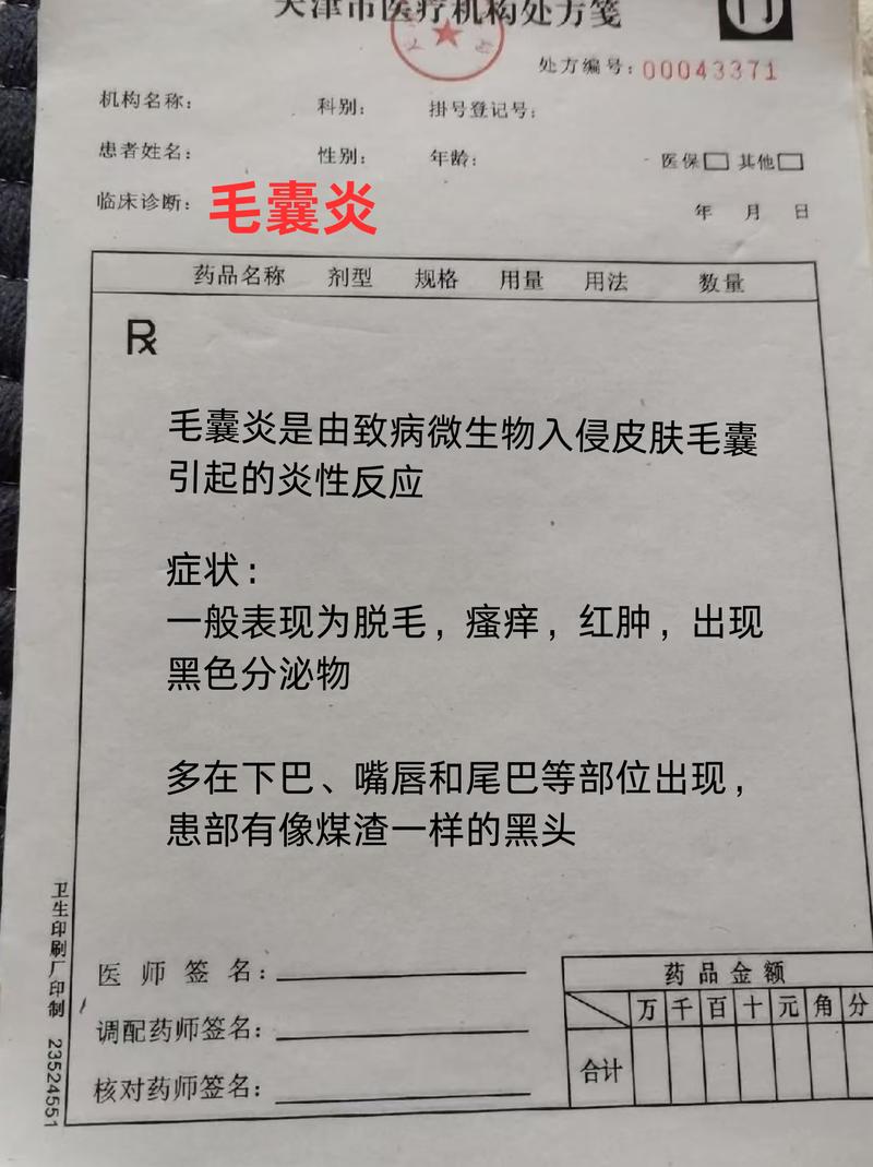 貓咪毛囊損傷，如何有效預(yù)防與護(hù)理