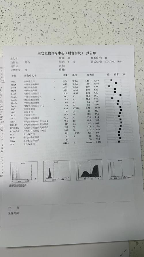 揭秘貓咪血常規(guī)檢查的價格與重要性