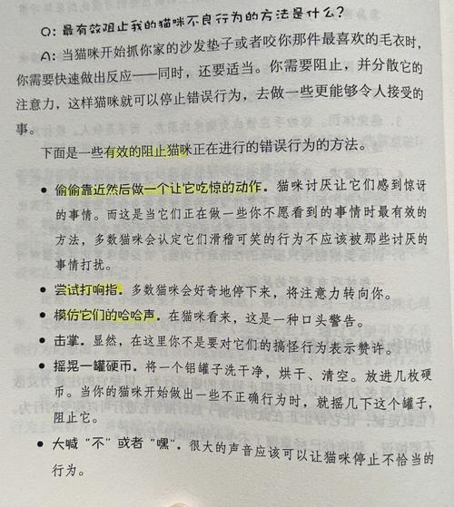 貓咪生活指南，打造和諧溫馨的貓寵之家