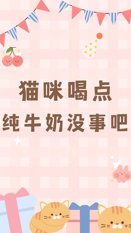 貓咪心跳過(guò)快，潛在健康風(fēng)險(xiǎn)與應(yīng)對(duì)策略