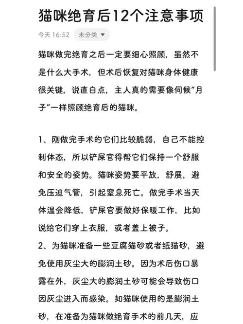 貓咪絕育真的好嗎？——健康與幸福的雙重選擇