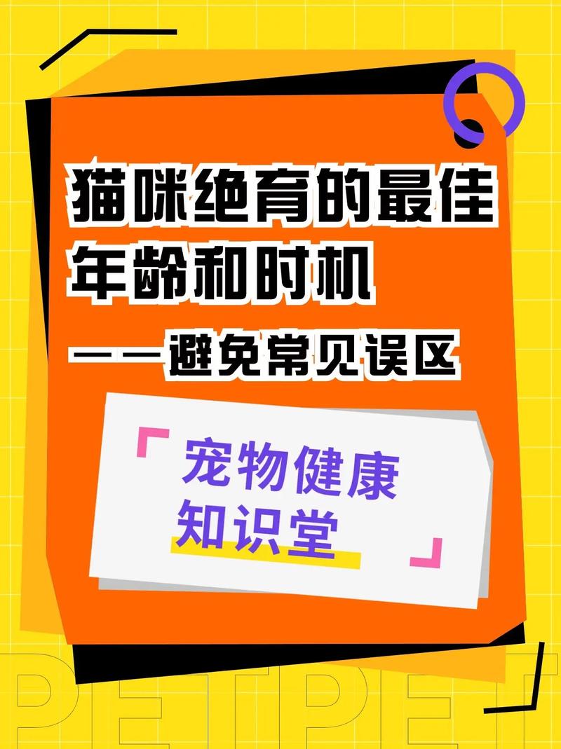 貓咪節(jié)育最佳年齡，早做決定，讓它們更健康