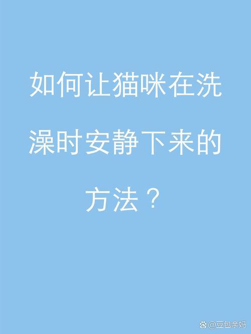 輕松掌握貓咪洗澡技巧，讓毛茸茸小伙伴更加健康快樂