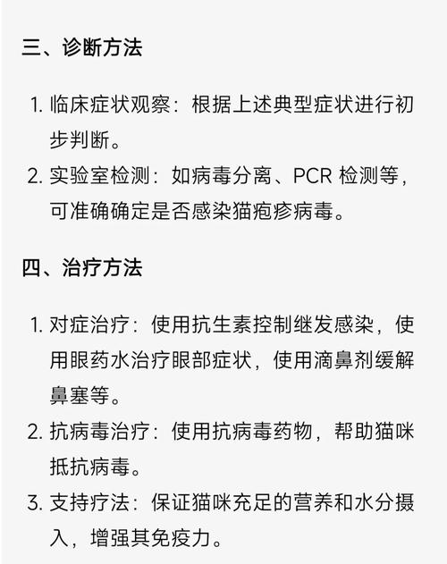 揭秘貓咪輪狀病毒感染，預防與治療全攻略