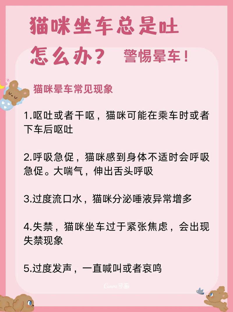 貓咪懷孕為何嘔吐？解析妊娠反應