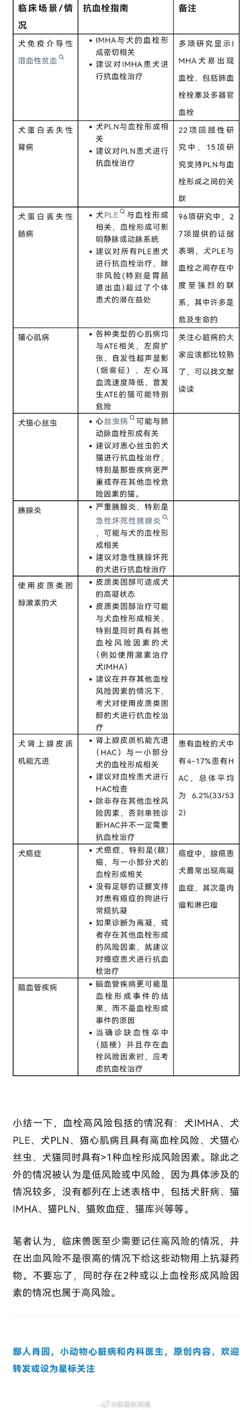 貓咪血栓癥，了解癥狀與治療方案