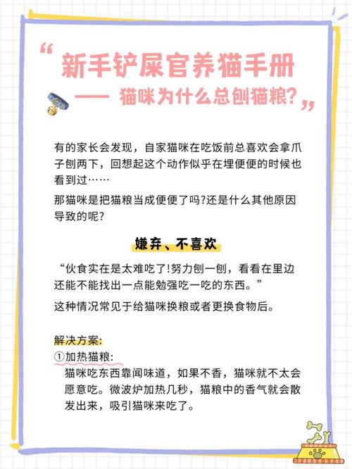 貓咪為何總愛打翻貓糧？