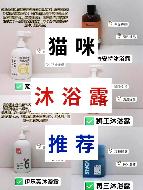 體外驅(qū)蟲前洗澡？貓咪洗澡指南