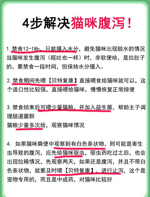 貓咪拉肚子，到底多久會致命？