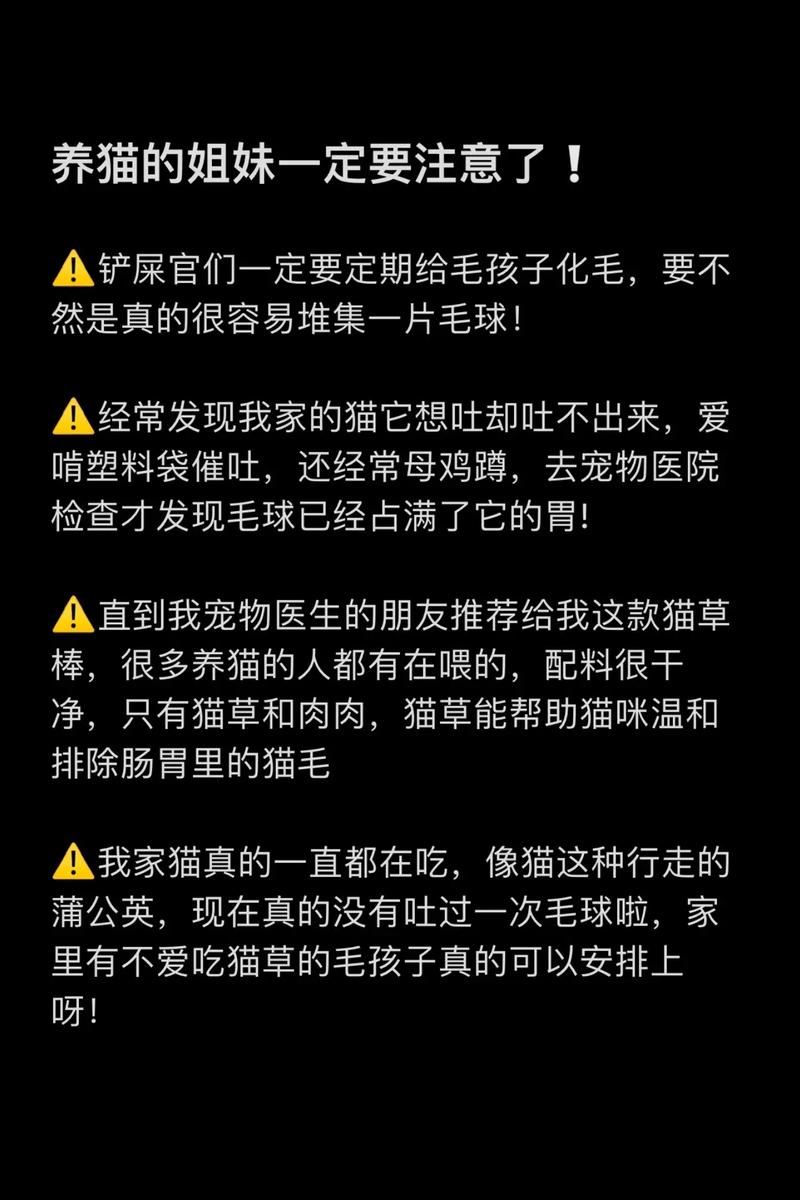 貓咪頻繁舔毛的秘密，潛在健康問題的警示信號