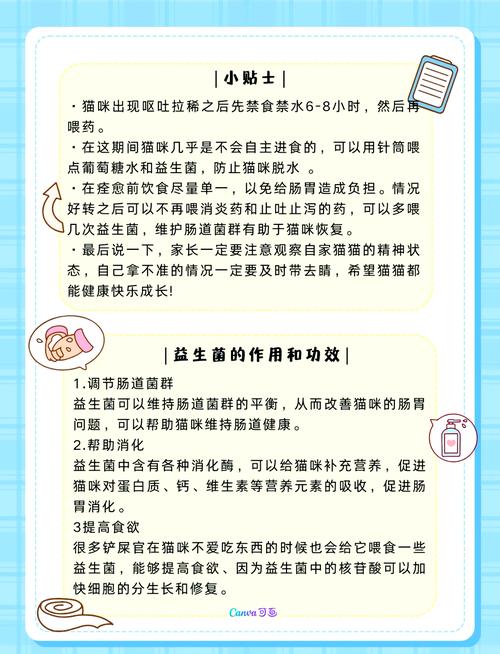 揭秘貓咪的腸道健康——認識并應對貓咪過敏性腸炎