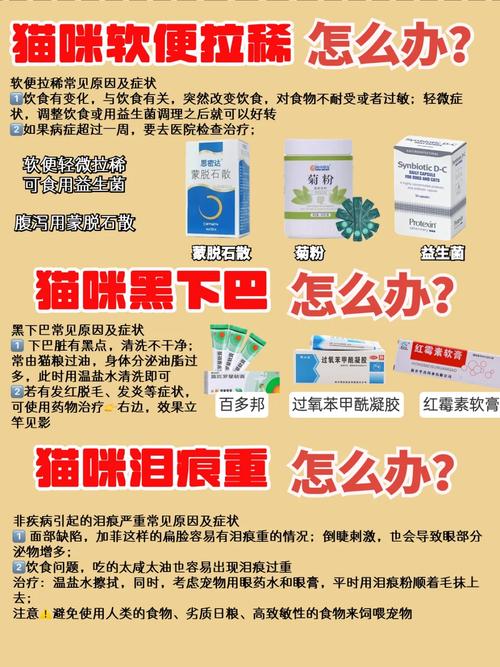 貓咪能用滅蟲寧嗎？了解貓咪安全用藥的重要性