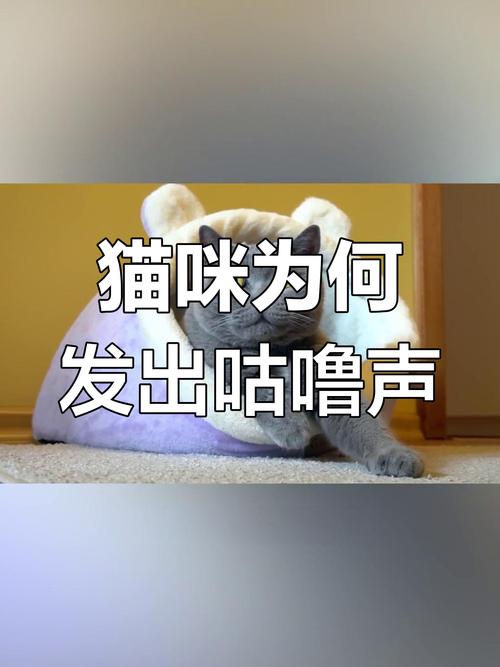 貓咪喉嚨咕嚕聲的秘密