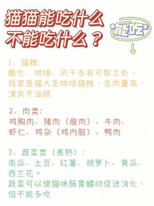 懷孕貓咪能吃雞肉嗎？專家建議與營養(yǎng)解析