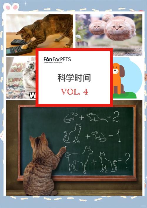 妙招教你輕松讓愛寵貓咪增肥，科學(xué)喂養(yǎng)讓毛孩子更健康