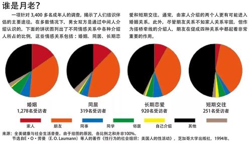 驅(qū)散貓兒口臭的秘籍——全面指南