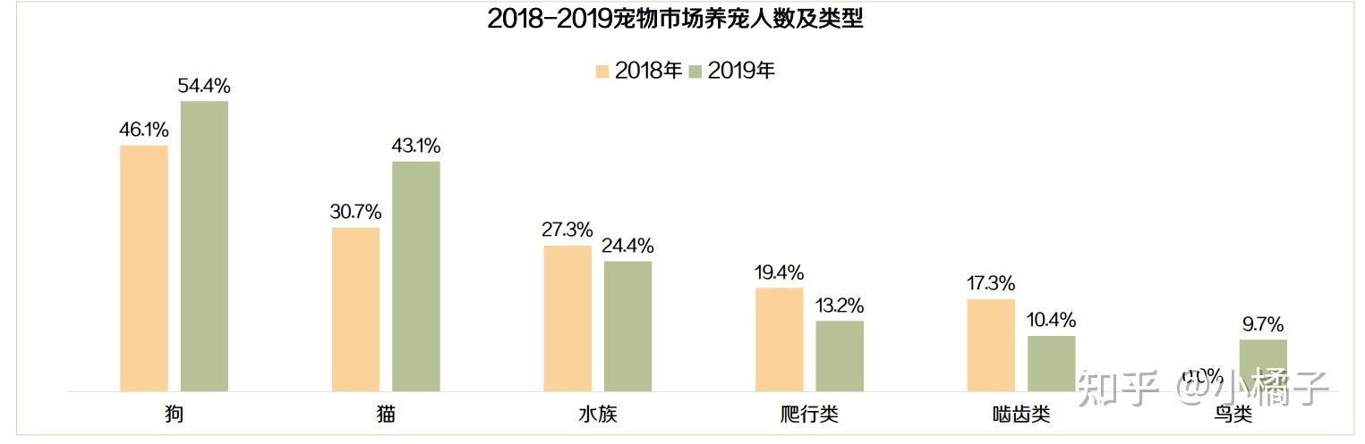 揭秘貓咪拍片價(jià)格全解析，一次拍攝之旅的成本概覽