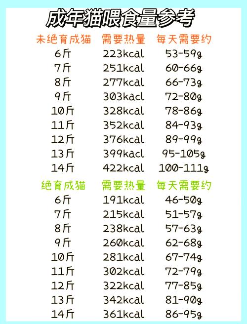 貓咪懷孕期間的飲食指南，挑選最適宜的貓糧