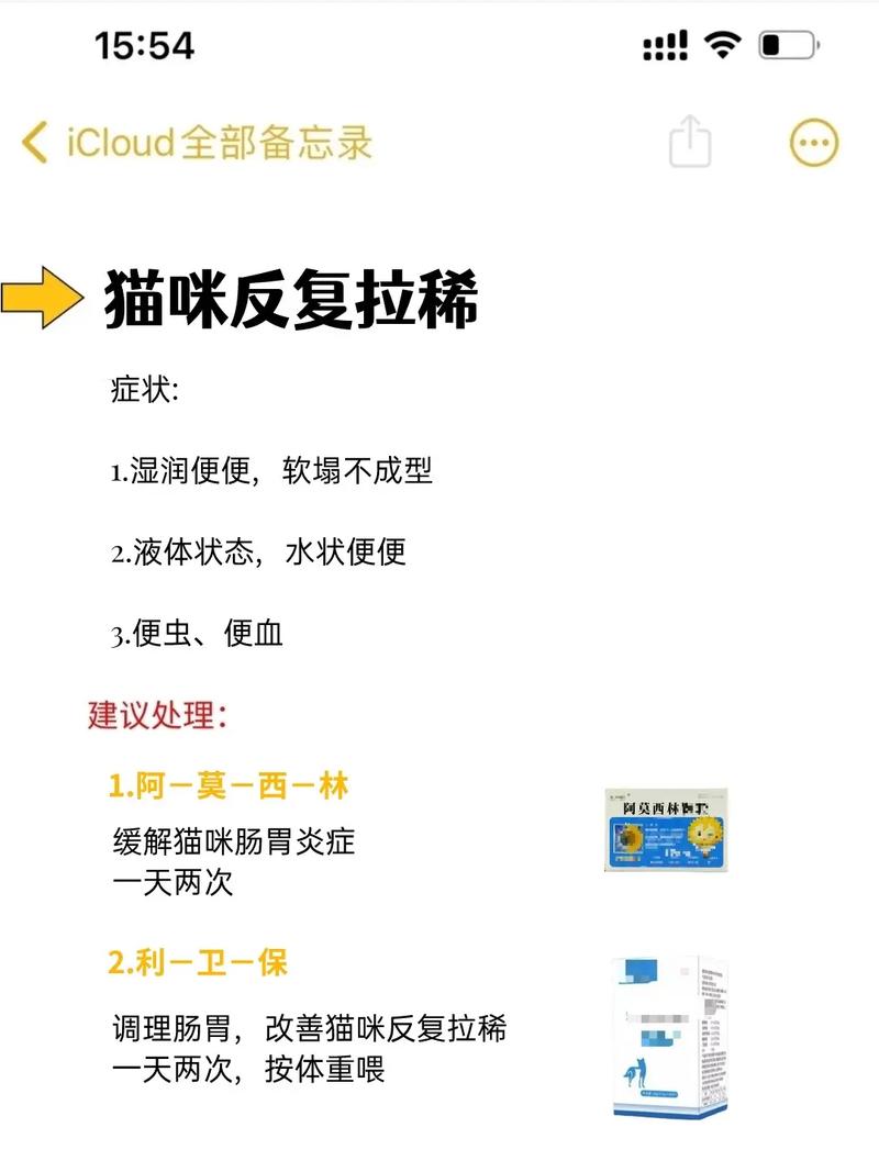 新生貓咪拉稀？這7個(gè)處理方法你必須知道