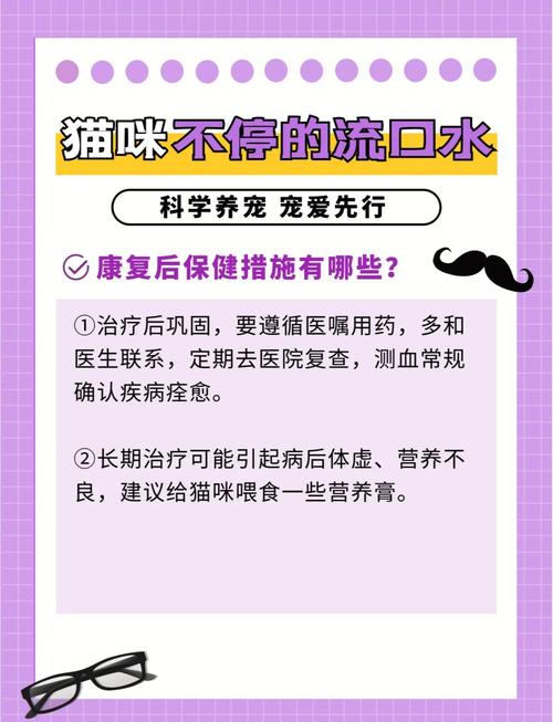 探索貓咪健康的秘密——了解貓咪醫(yī)院檢查費用