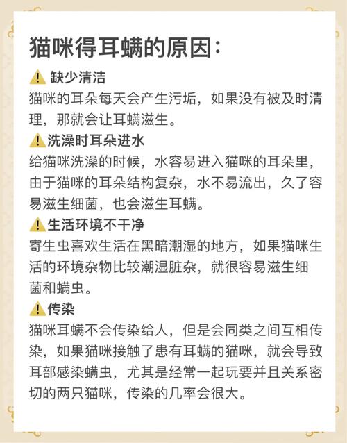 徹底解決貓咪耳螨問題，讓你的毛孩子告別瘙癢煩惱