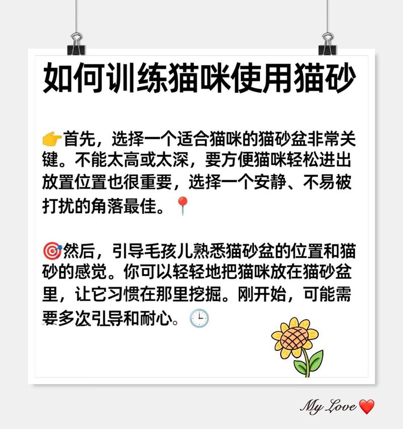 輕松教會你的貓咪如何使用貓砂