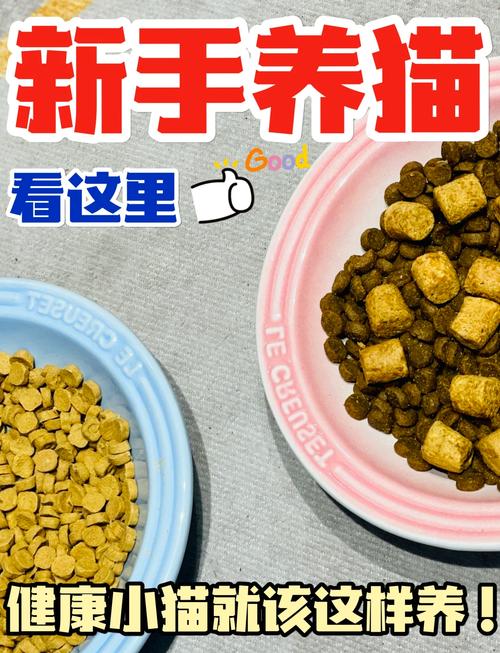 如何科學(xué)喂養(yǎng)貓咪，讓毛色更亮麗？